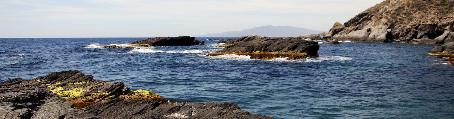 cala conchas